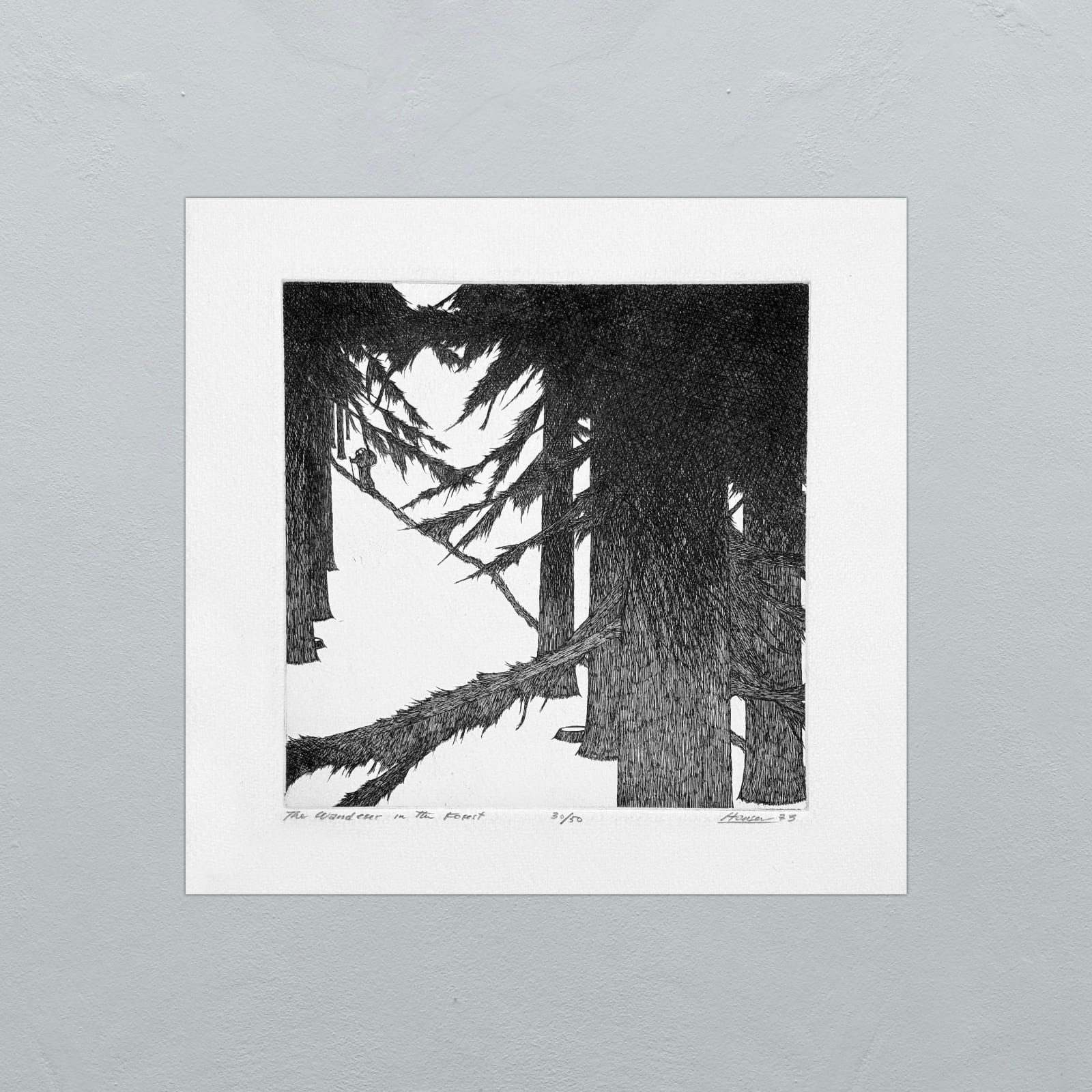 Art Hansen, The wanderer in the Forest - 73 - 30/50