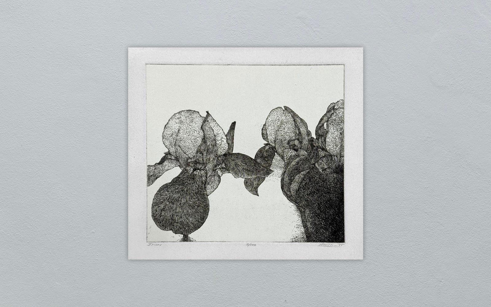 Art Hansen, ART HANSEN IRISES