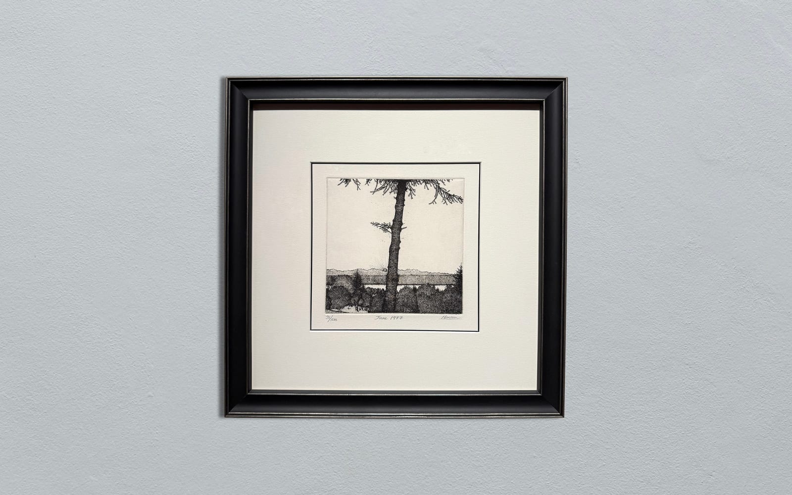 Art Hansen, June 1977 - 31 /100