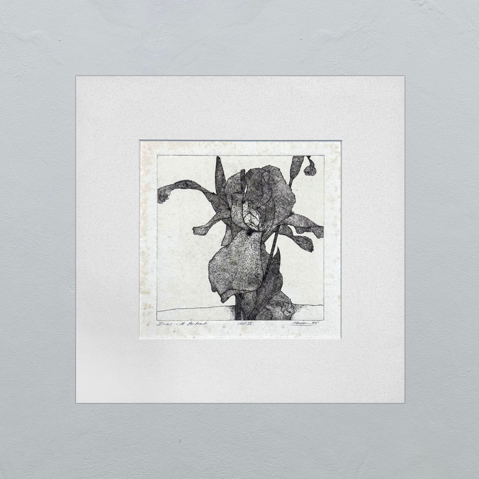 Art Hansen, IRISES A PORTRAIT, 75 APVI, 1