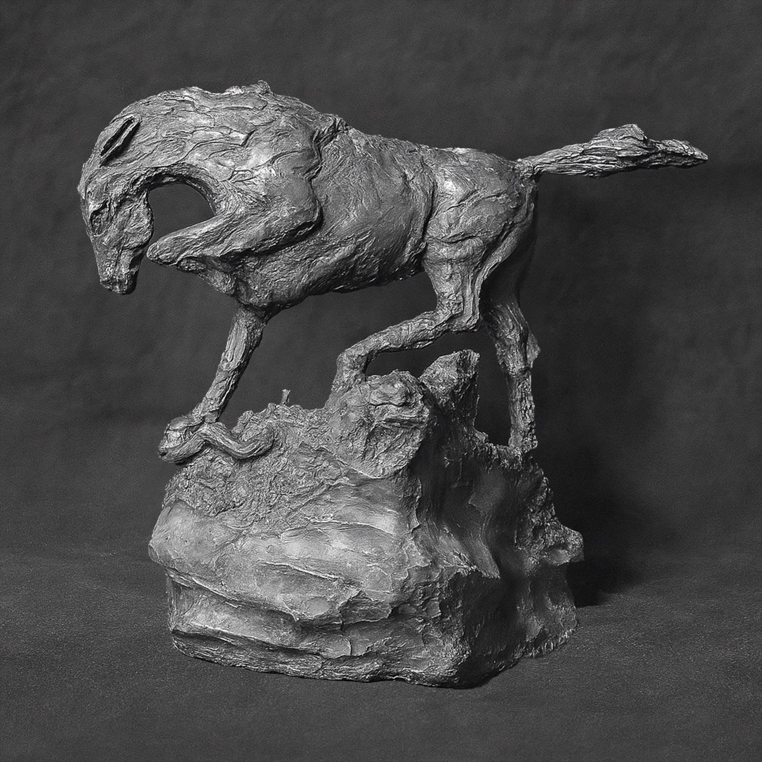 Richard A. Heller, Snake Killer