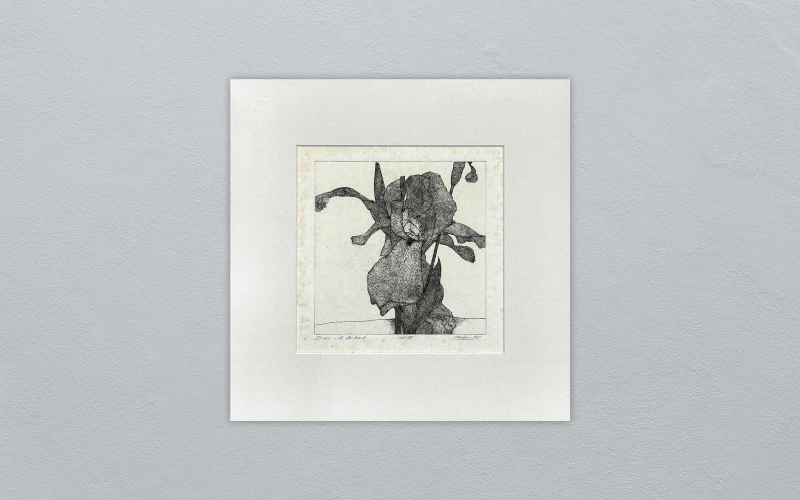 Art Hansen, ART_HANSEN,_IRISES-_A_PORTRAIT,_75,_APVI,_1