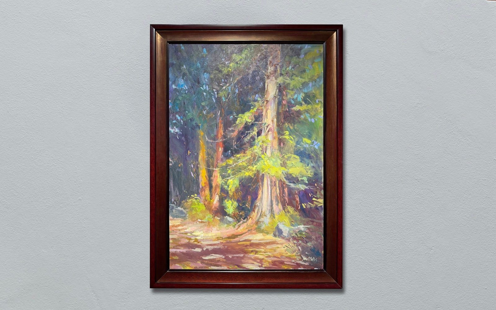 Jane Wallis, JANE WALLIS OLD CEDAR AT DOSEWALLIPS