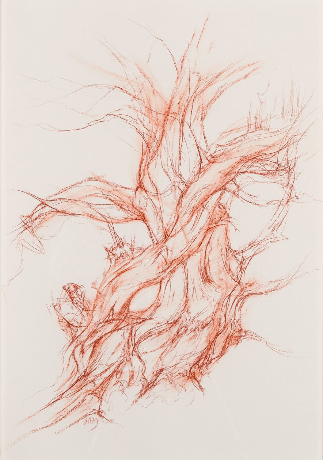 Tansy Lee Moir, Abercorn Yew South, 2022