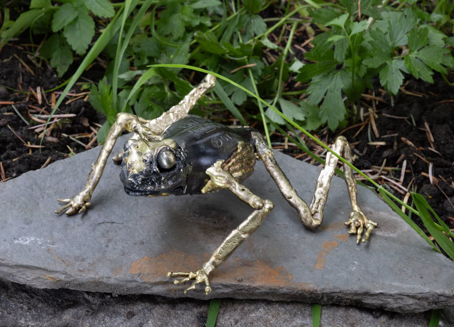 Helen Denerley, Frog ii, 2025