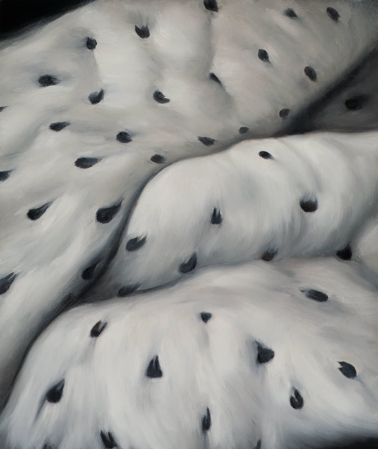 Rory Macdonald, Saint Balthazar, 2023