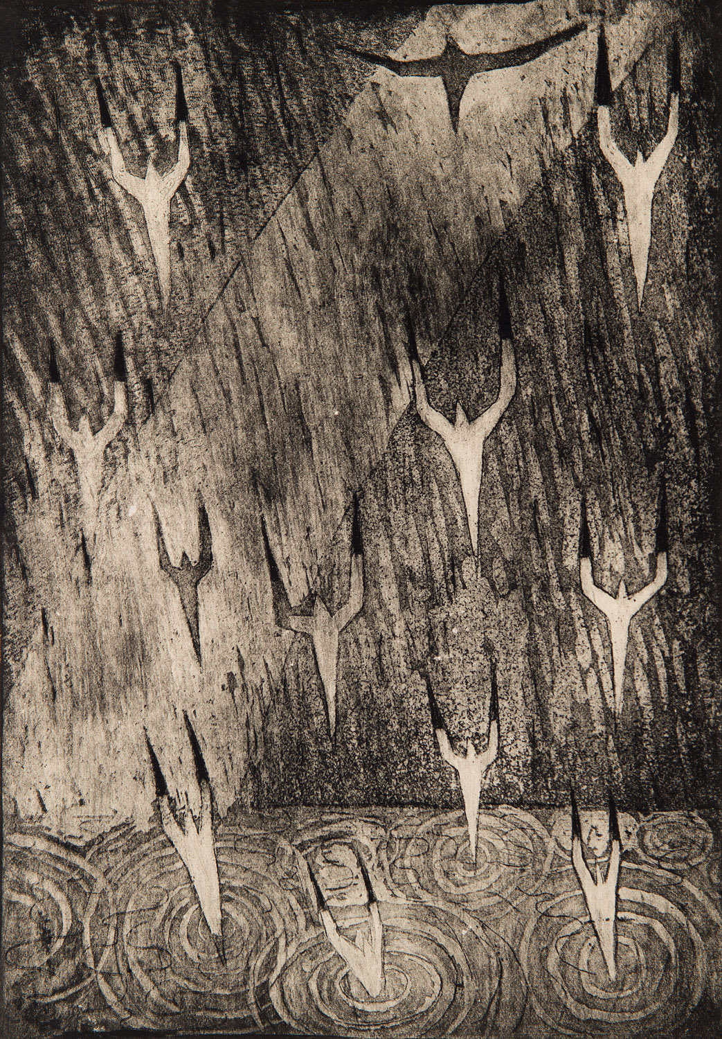 Paul Bloomer- Gannets