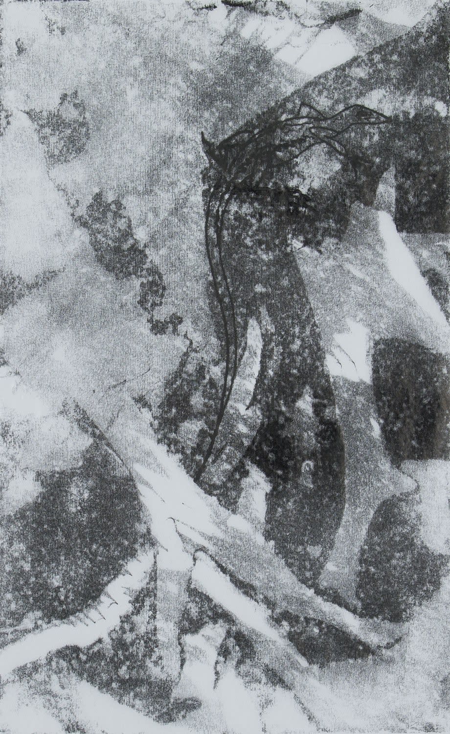 Helen Denerley, Lizard on rock i, 2023