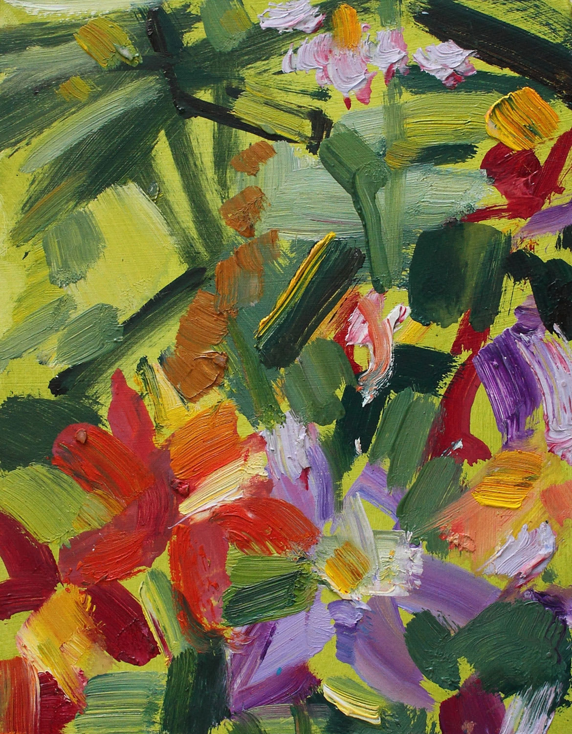 Shona Barr, Allotment Aquilegias