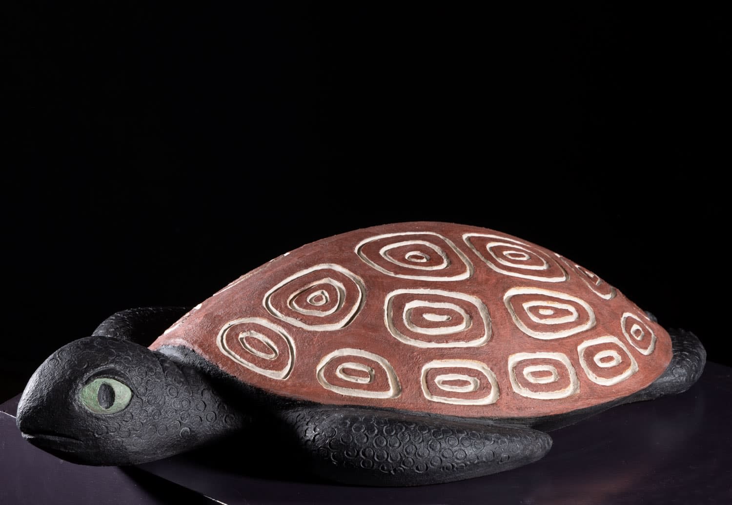 Illona Morrice, Turtle, 2024