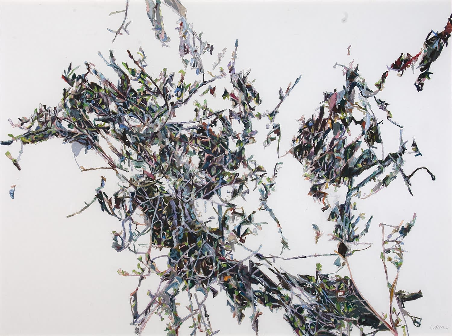 Patricia Paolozzi Cain, Living as a Process ii, 2014