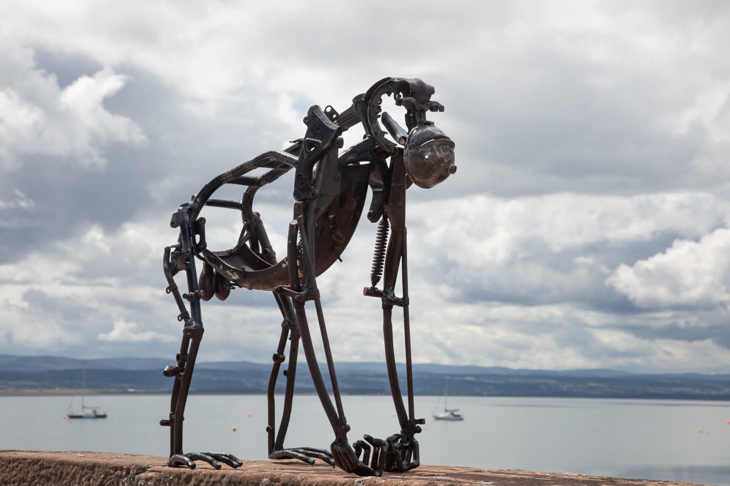 Helen Denerley, Male orangutan, 2023