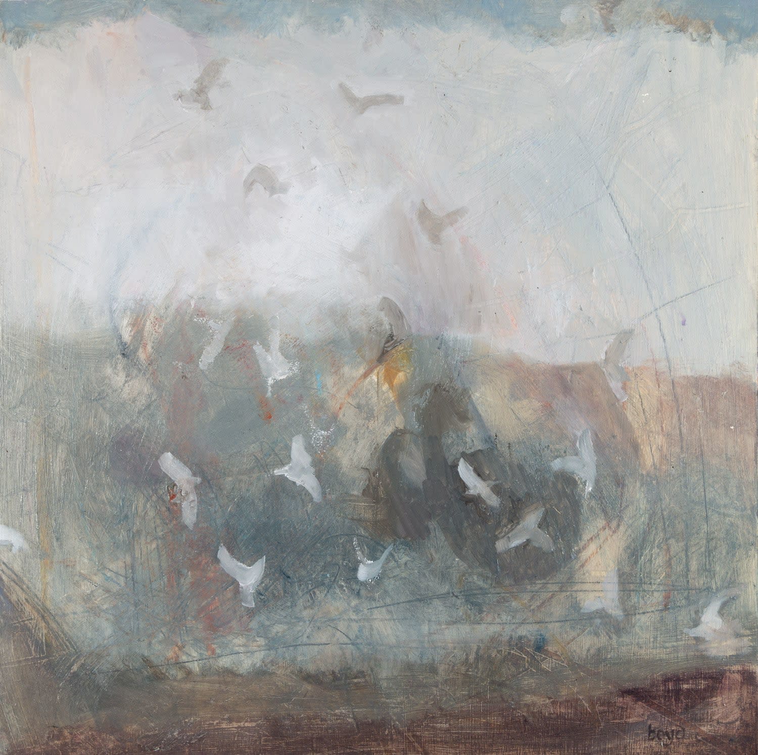 Becs Boyd, Kitiwakes, 2025