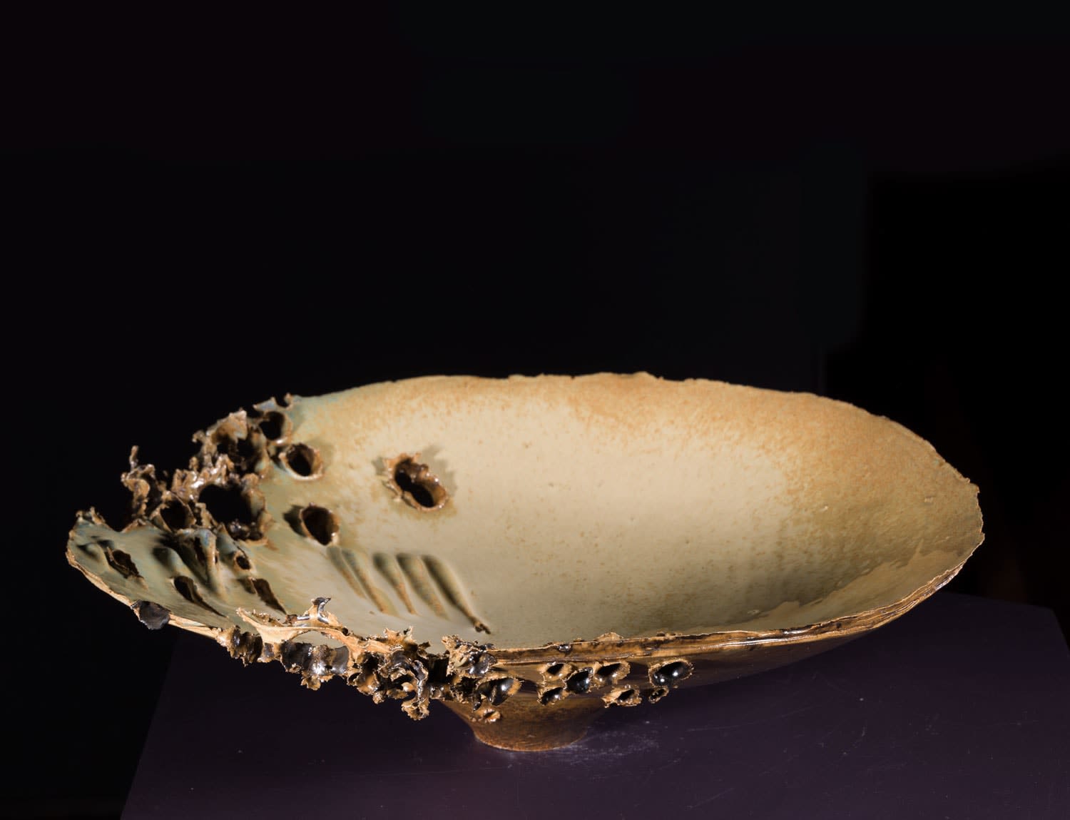 Allison Weightman, Shotgun i, 2025