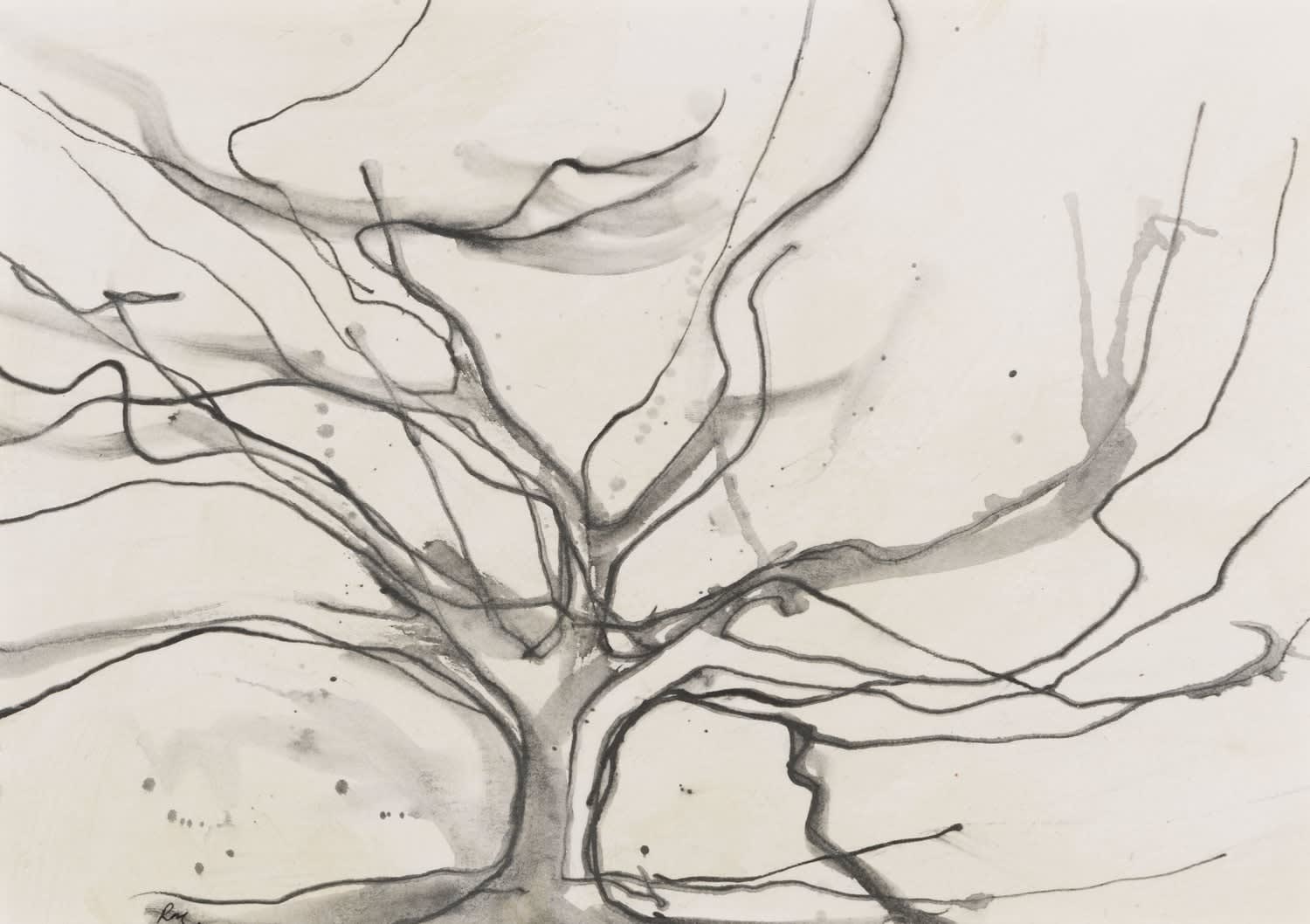 Lizzie Rose, Oak Drawing, 2024