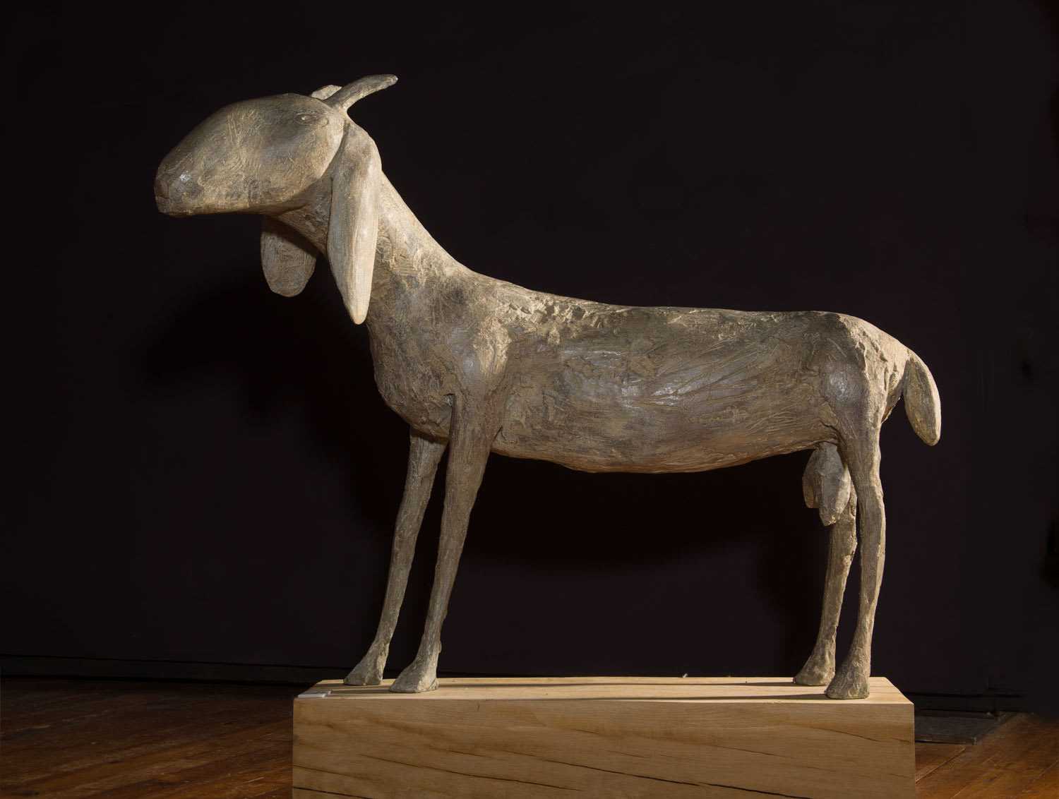 Christopher Marvell, Long-eared Goat