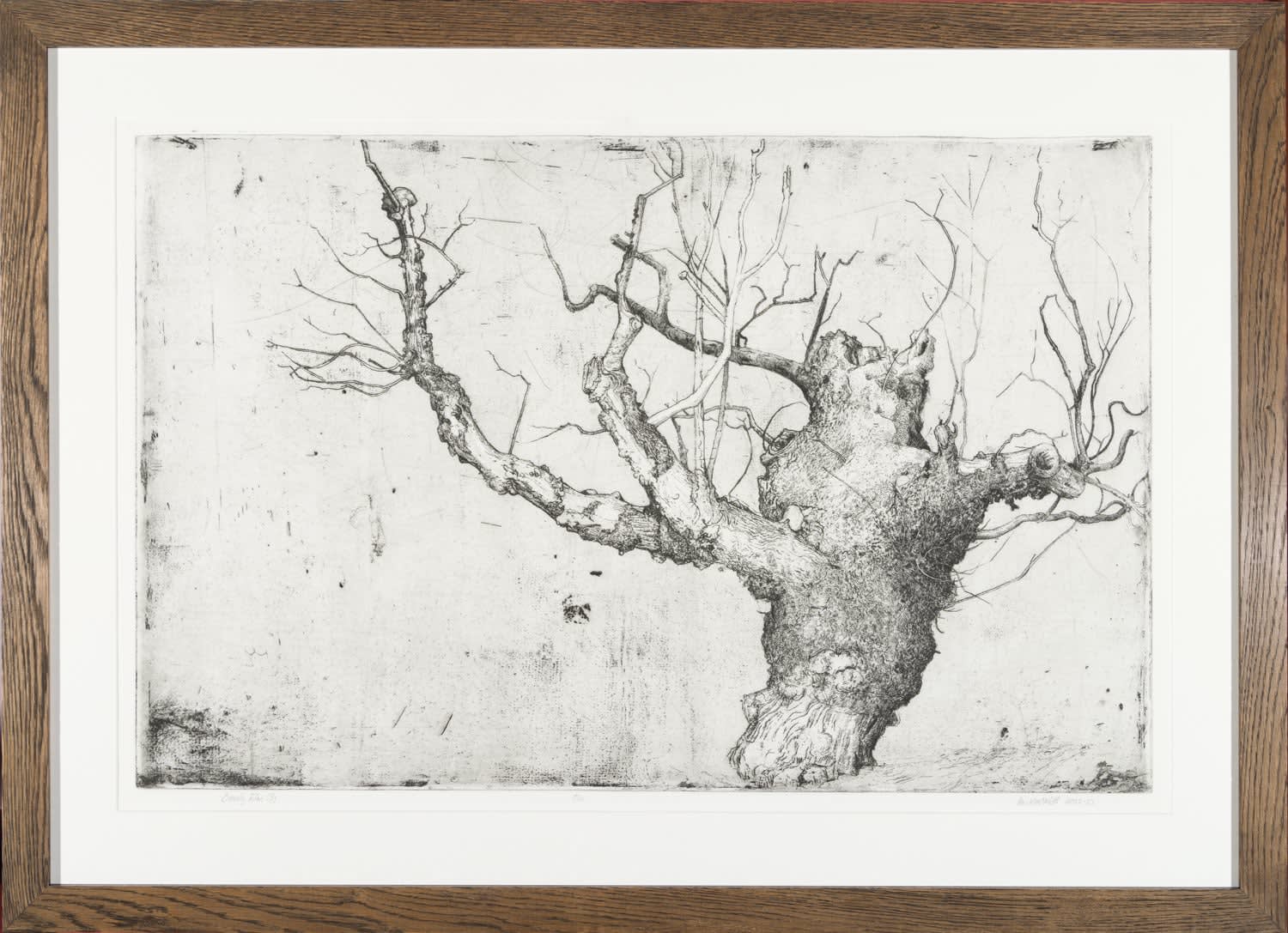 Ian Westacott, Beauly Elm 3, 2022-23