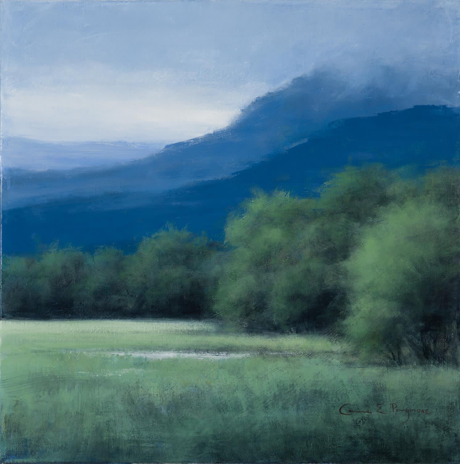 Carina Prigmore, Mountain Meadow, 2021