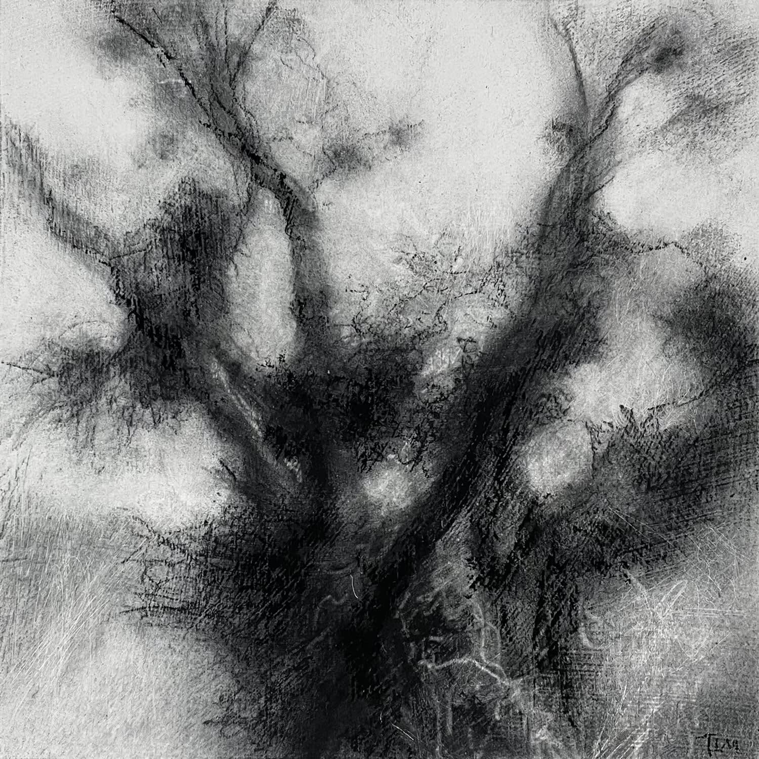 Tansy Lee Moir, Brustle, 2025