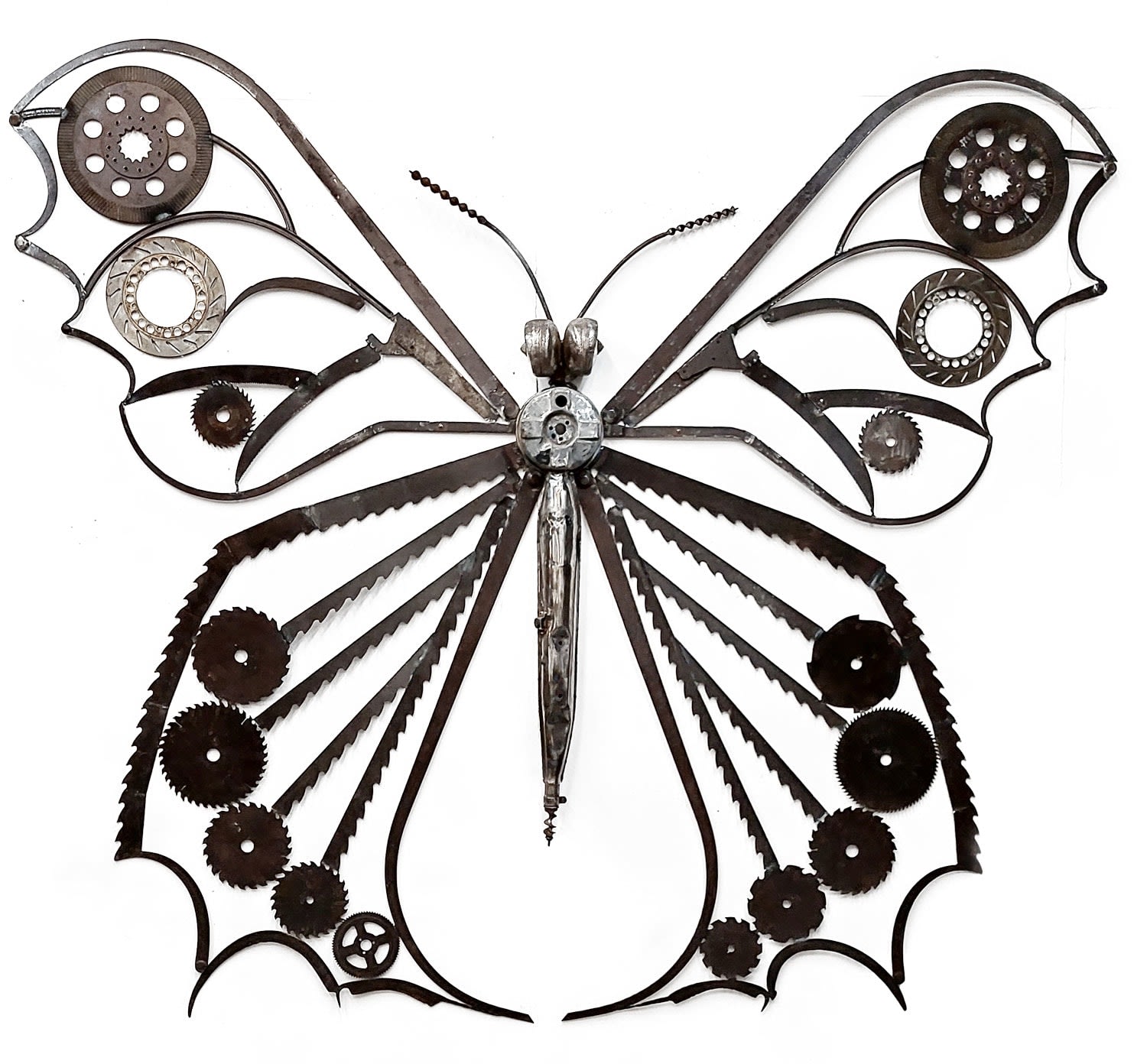 Caliper Moth Helen Denerley