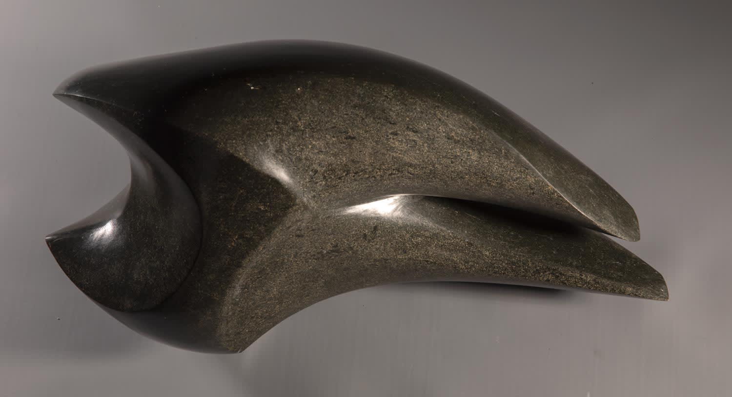 Steve Dilworth, Venus Stone