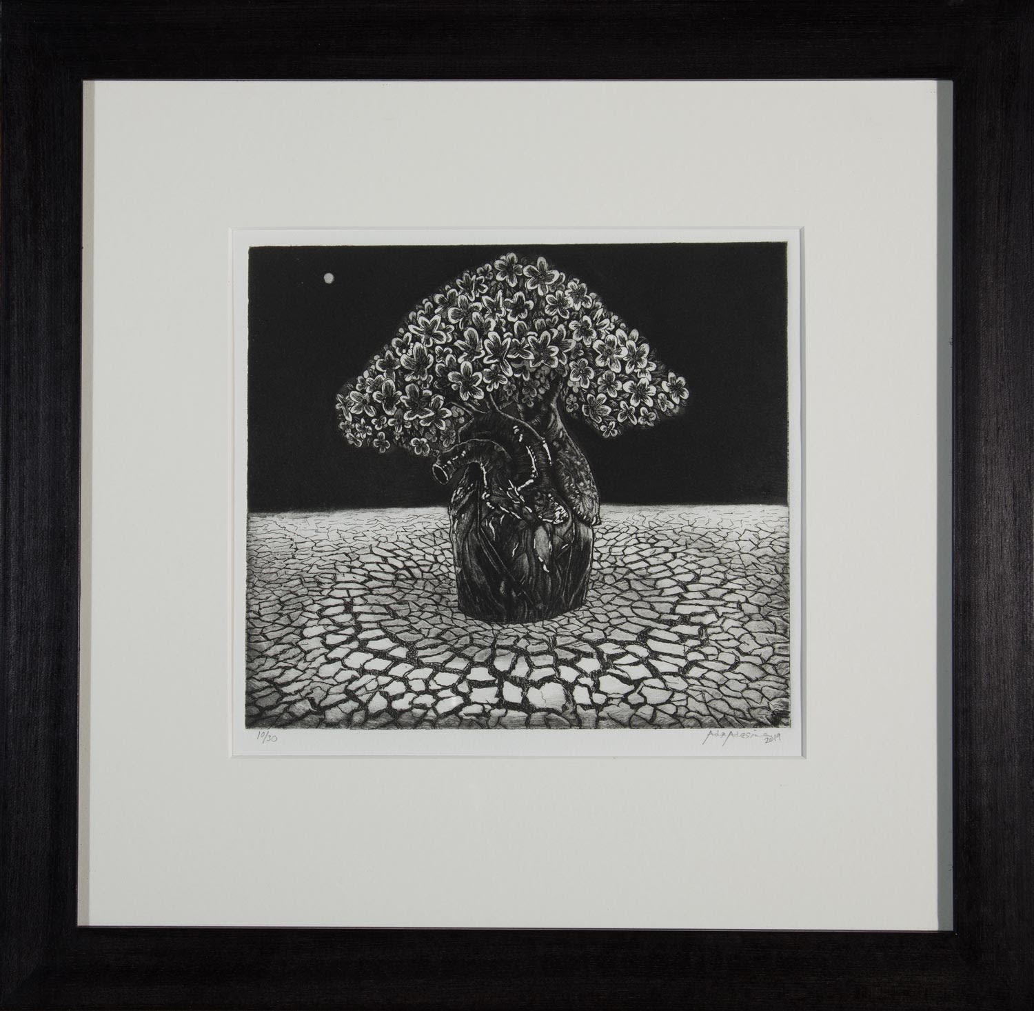 Ade Adesina, Soul, 2019