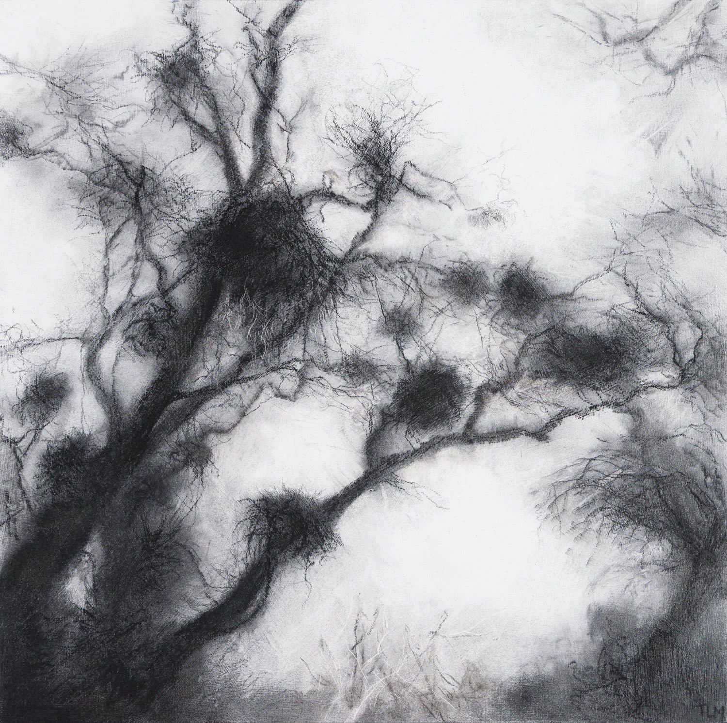 Tansy Lee Moir, Knurlt, 2025