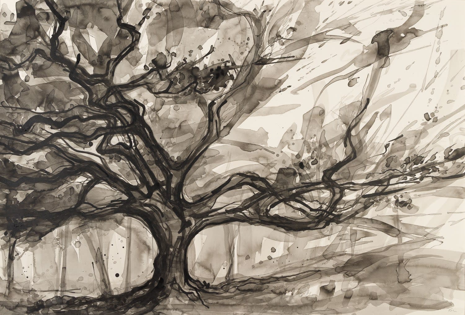 Lizzie Rose, Forest Source, 2025