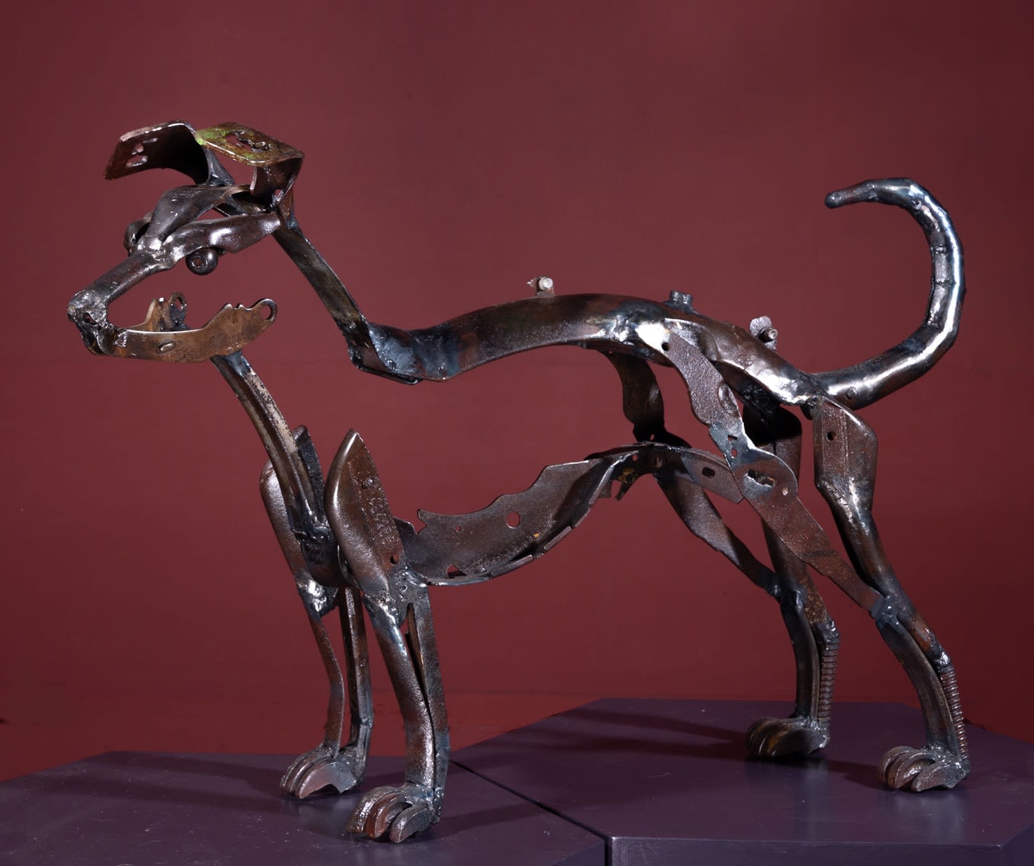 Helen Denerley, Jack Russell, 2024