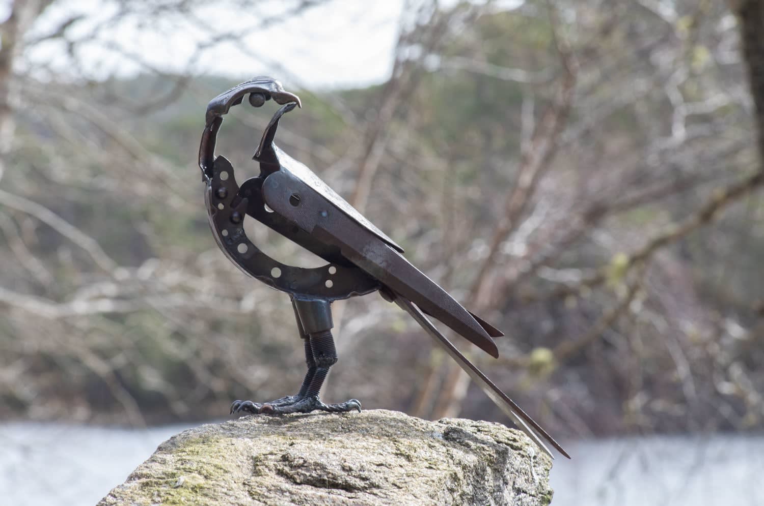 Kestrel Helen Denerley