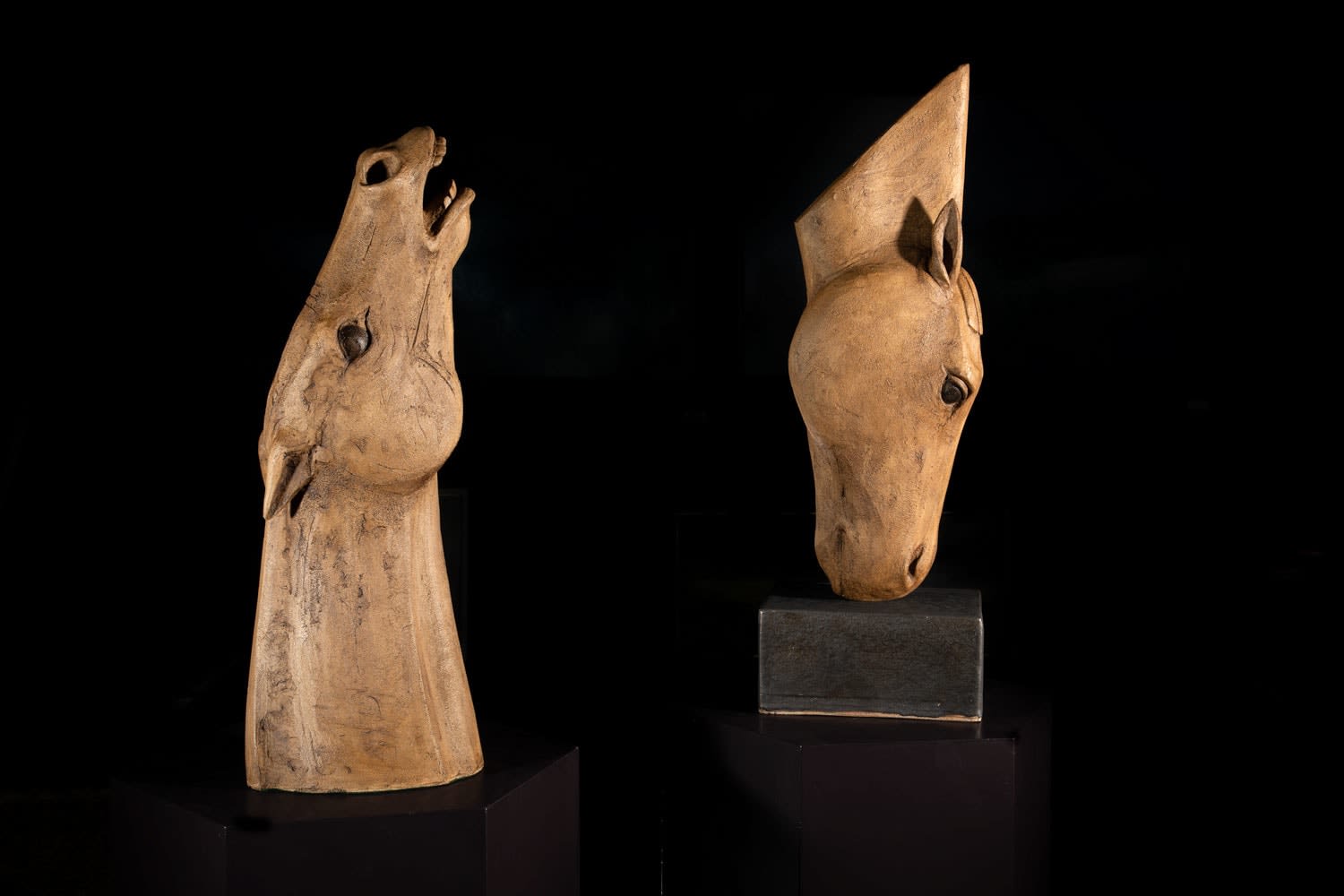 Illona Morrice, Wild Horse, 2021