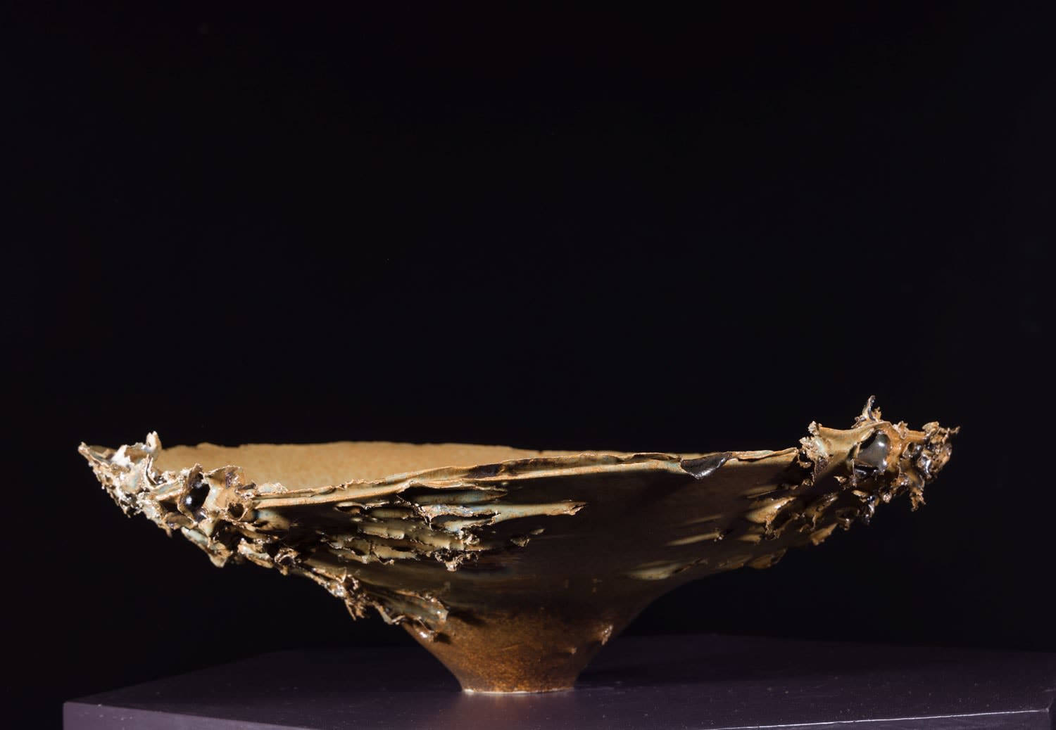 Allison Weightman, Shotgun i, 2025