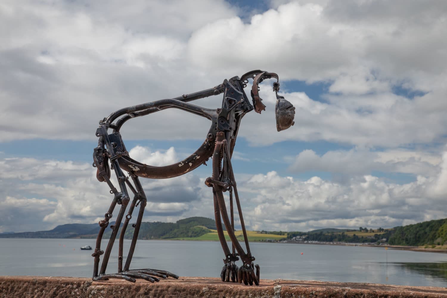 Helen Denerley orangutan