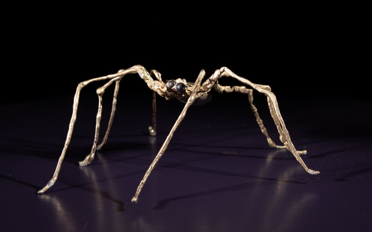 Helen Denerley, Wee Spider, 2024