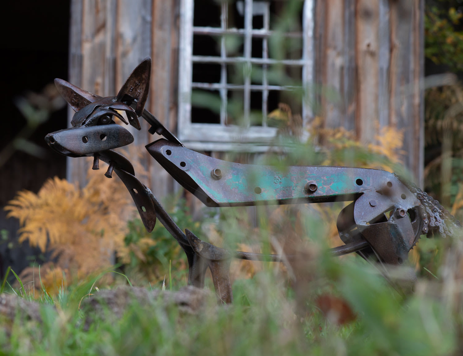 Helen Denerley, Fox, 2018