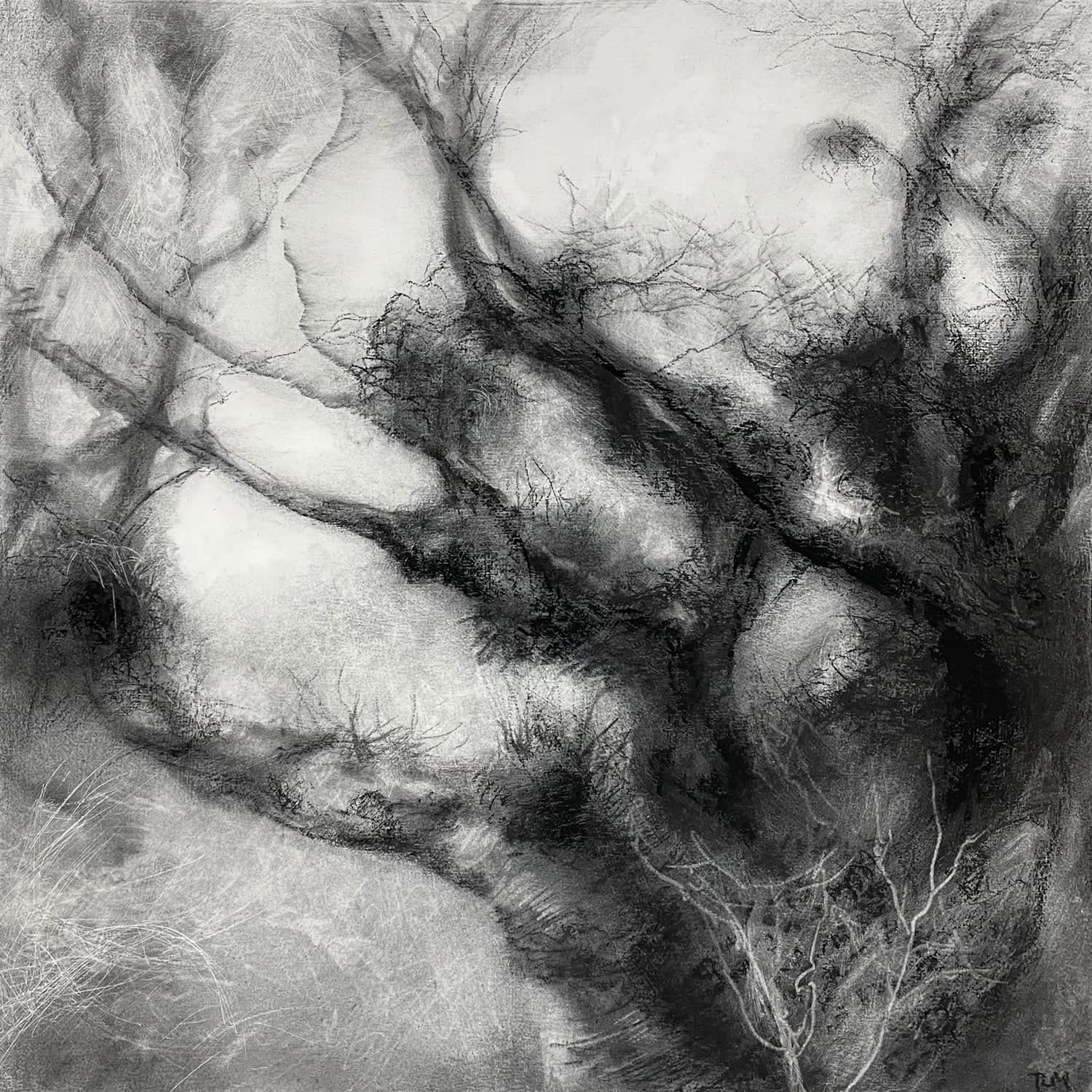 Tansy Lee Moir, Douny, 2025