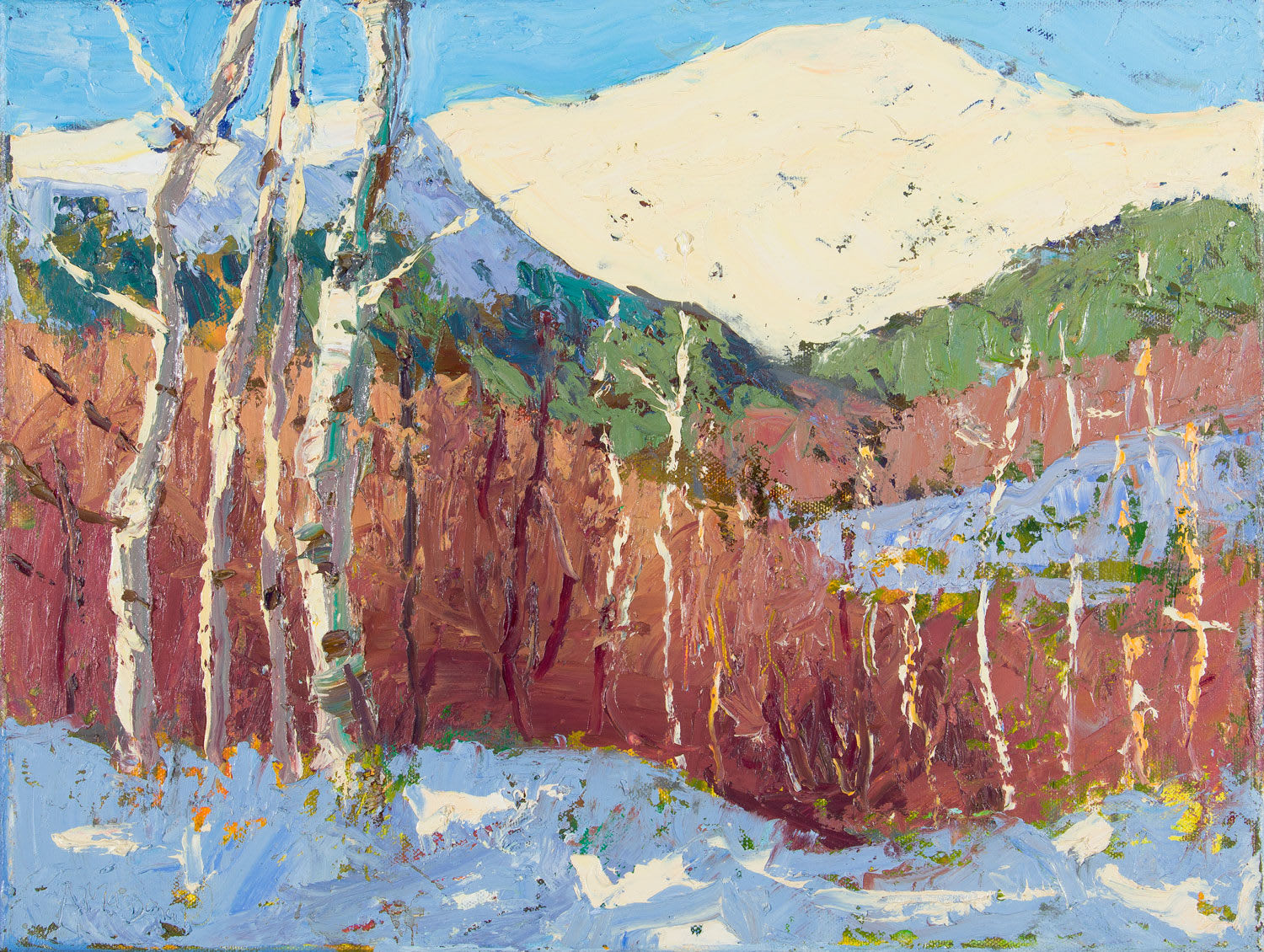 Allan MacDonald, Sun and Shadow, Glen Cannich, 2023