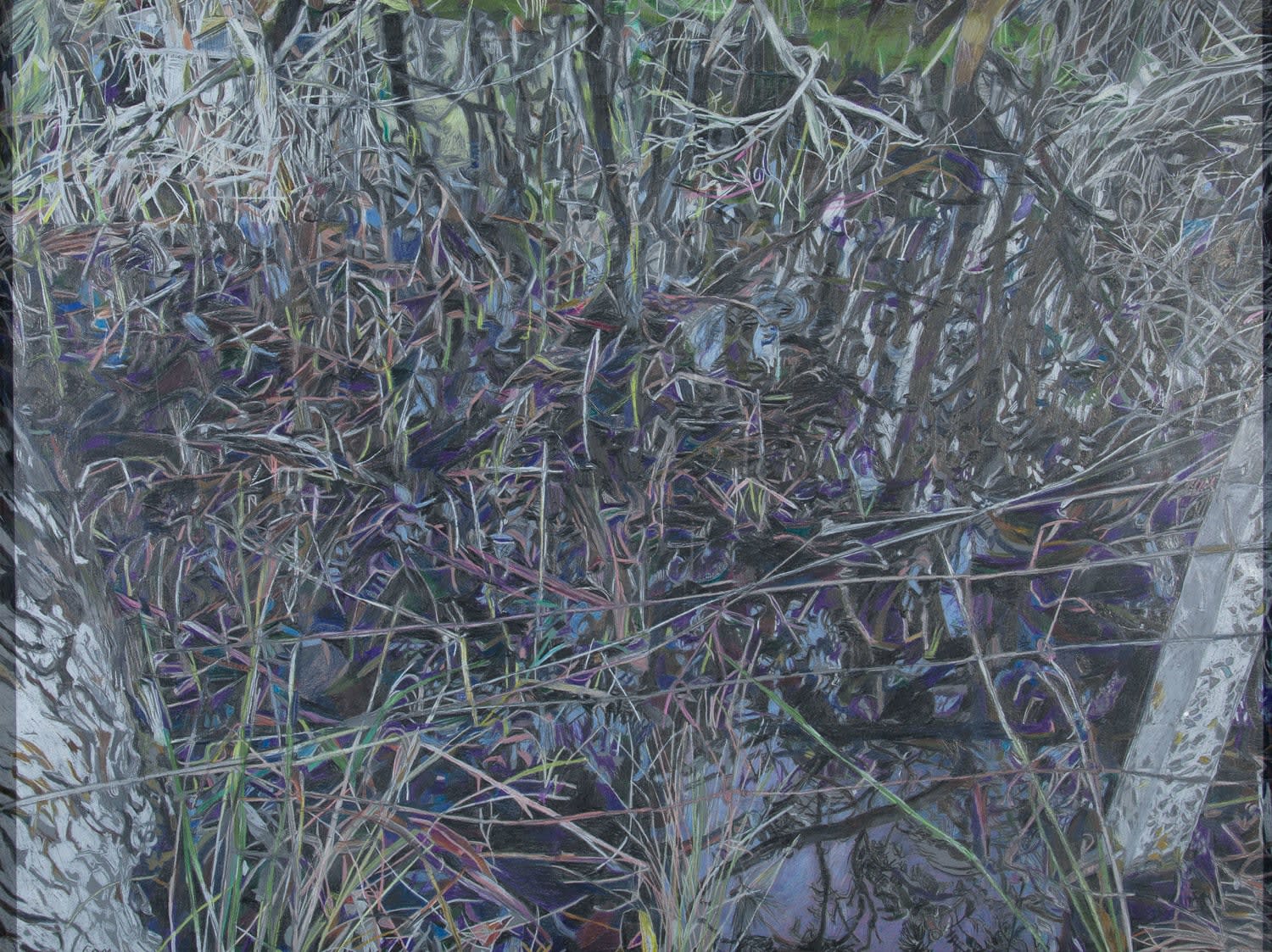 Patricia Paolozzi Cain, Map i, 2023