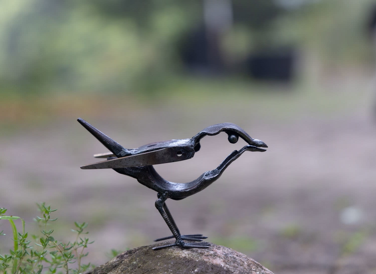 Helen Denerley, Wee Bird ii, 2025