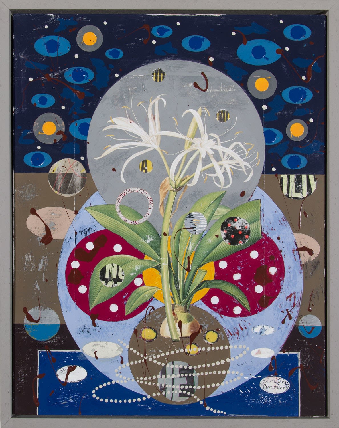 Colin Brown, Spider lily, 2022
