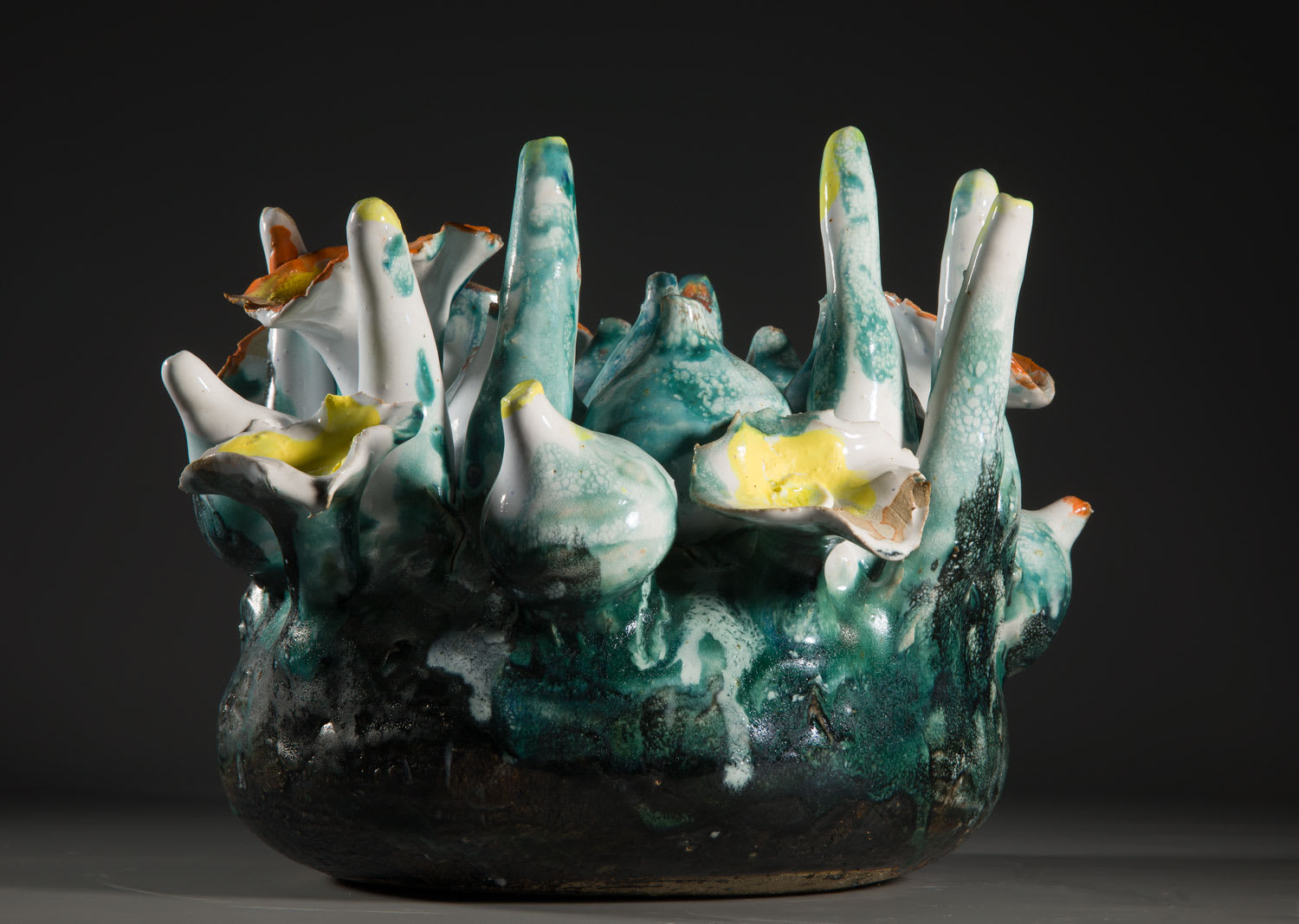 Lotte Glob | Rock Flower | Kilmorack Gallery