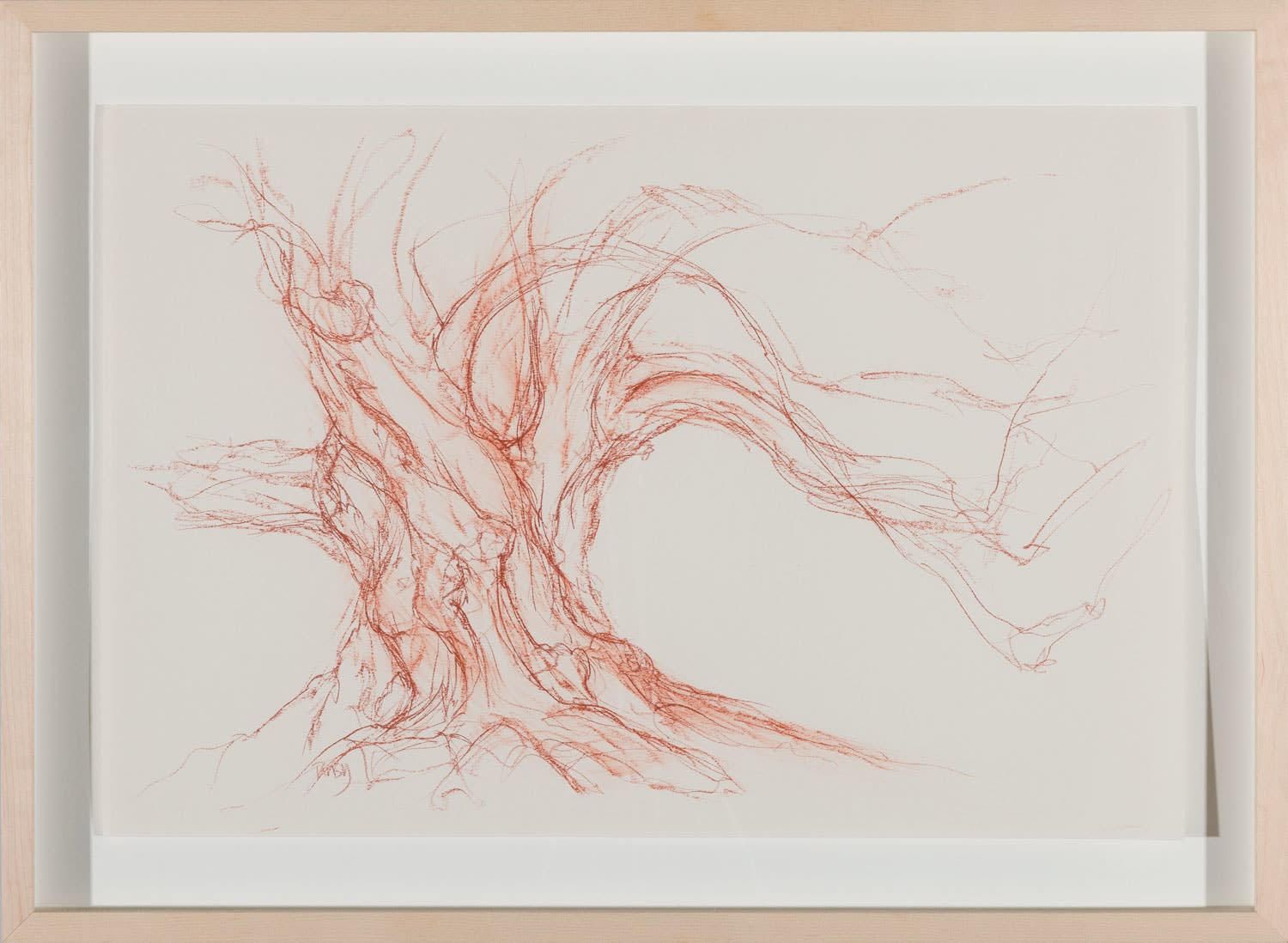 Tansy Lee Moir, Binns Lime West, 2022