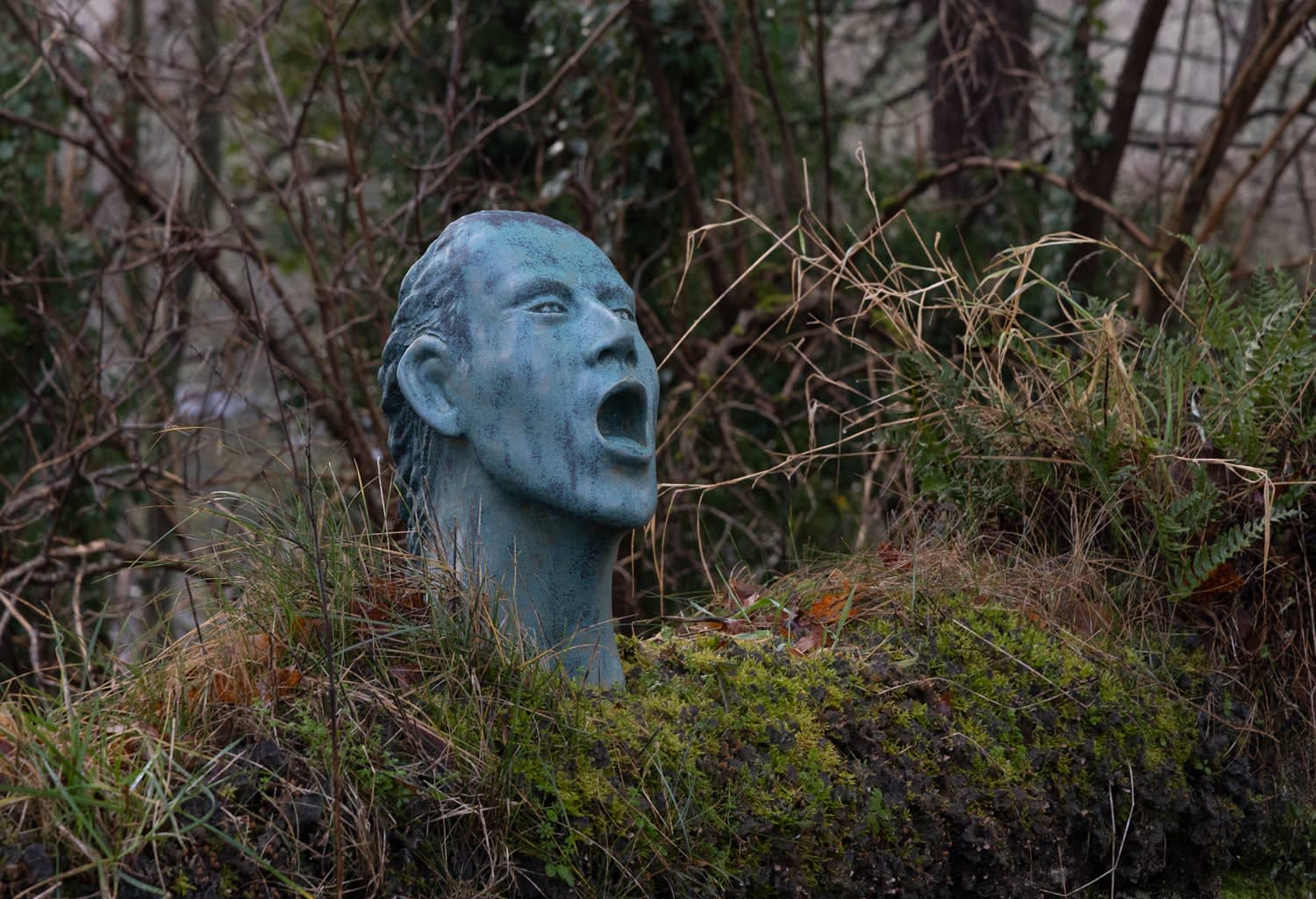 Illona Morrice, Mother Nature, 2024