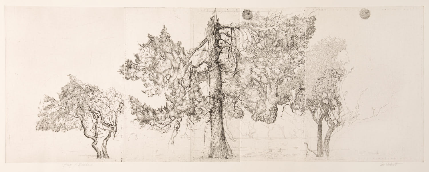 Ian Westacott, Lake Mungo and Black Suns, 2018/20