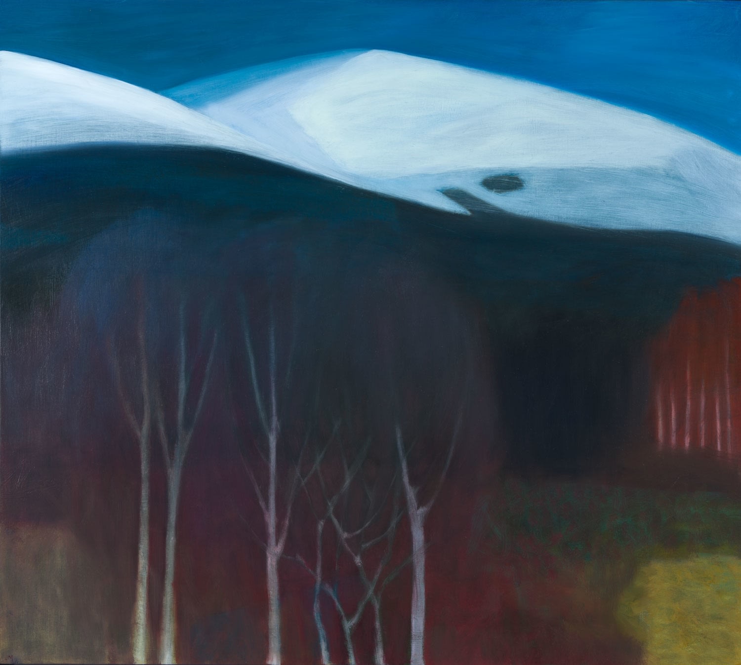 Jane MacNeill, Tree Line, Snow Line, 2023