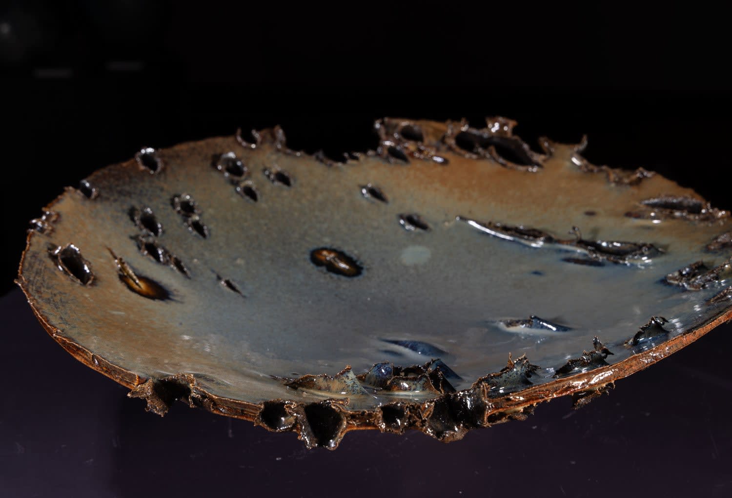 Allison Weightman, Shotgun, 2025