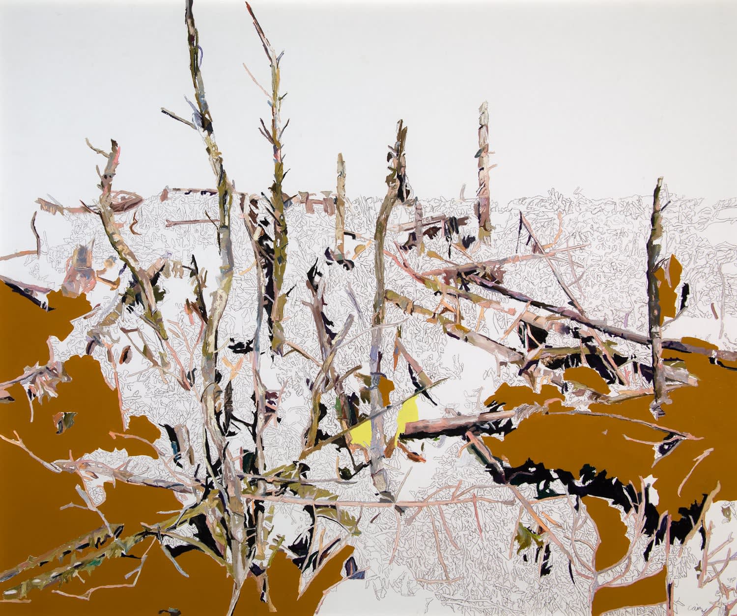 Patricia Paolozzi Cain, Languages that are made to die