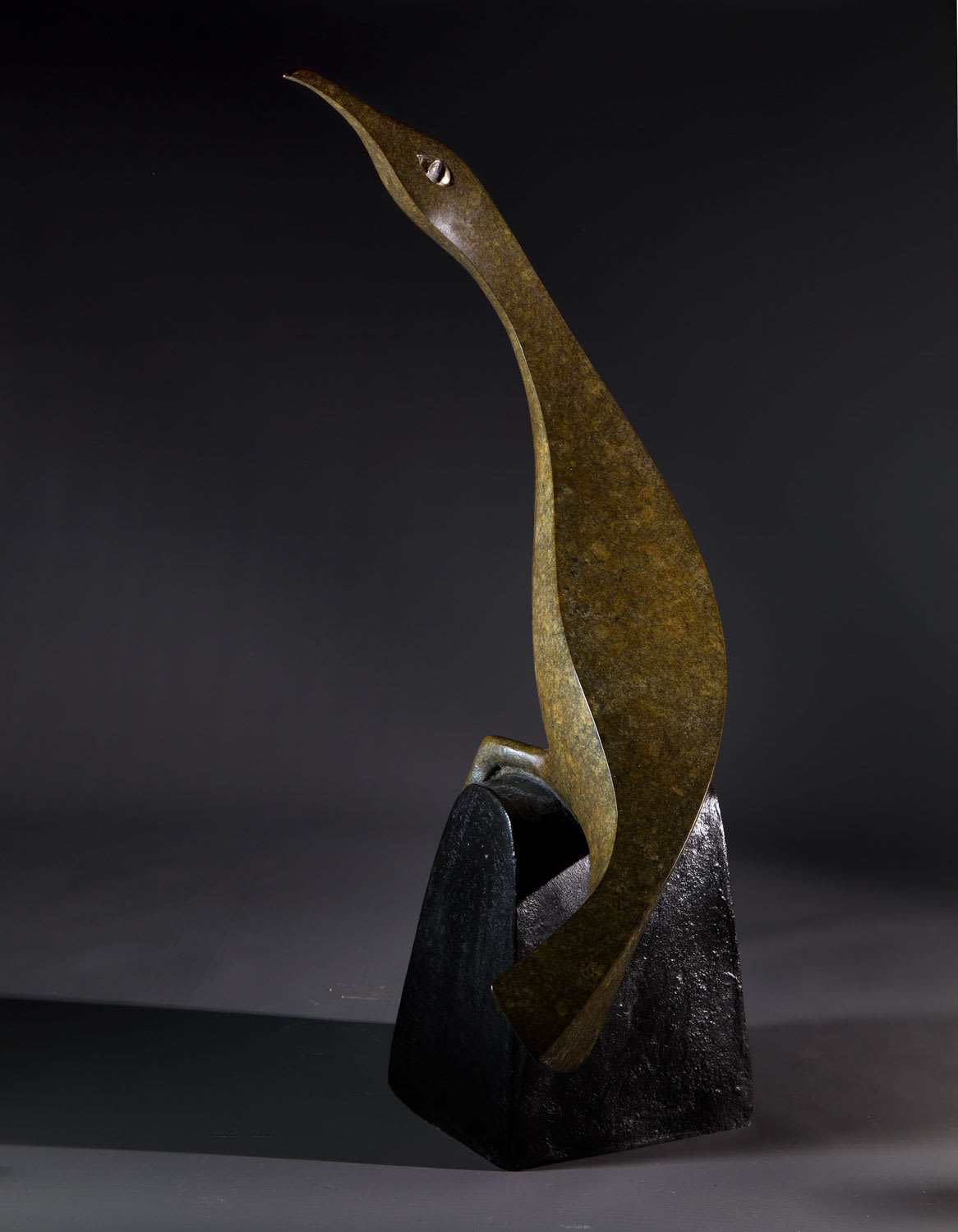 Illona Morrice, Cormorant, 2020