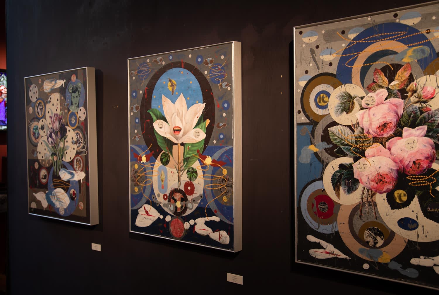 Colin Brown, Magnolia, 2021