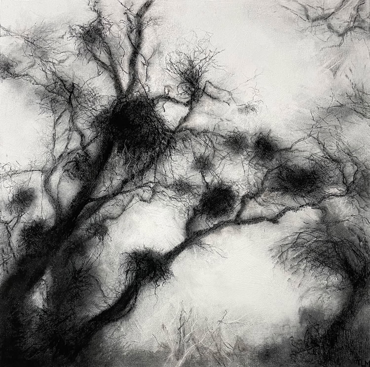 Tansy Lee Moir, Knurlt, 2025